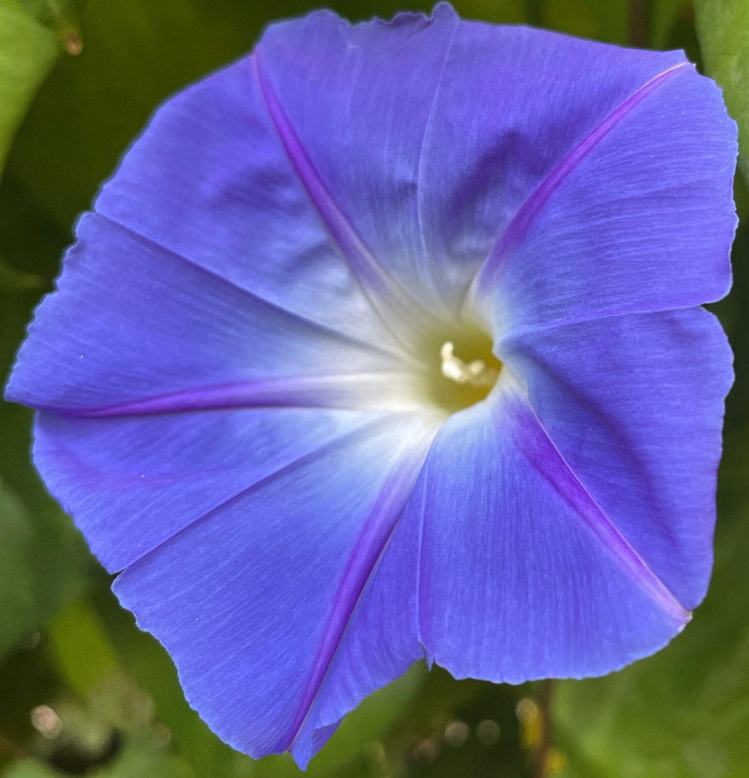 E721E22F-321B-4D7B-92CB-2E2A75B318D3-scaled-e1741422071559